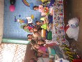 /album/fotogaleria/img-3817-jpg/